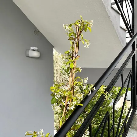 Residenza Lumturi * ドゥラス