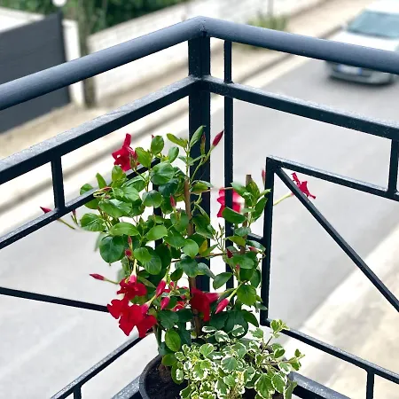 Apartmán Residenza Lumturi