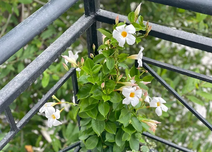 Residenza Lumturi