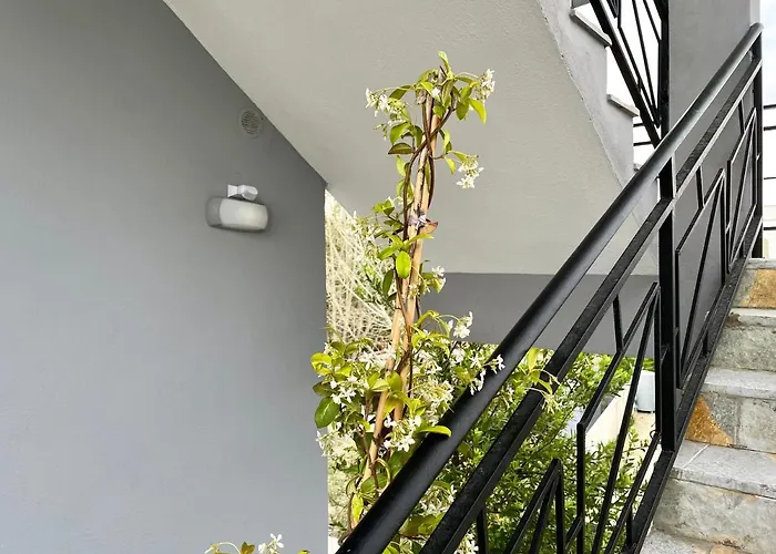 Residenza Lumturi * Durrës